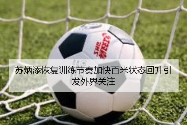 苏炳添恢复训练节奏加快百米状态回升引发外界关注